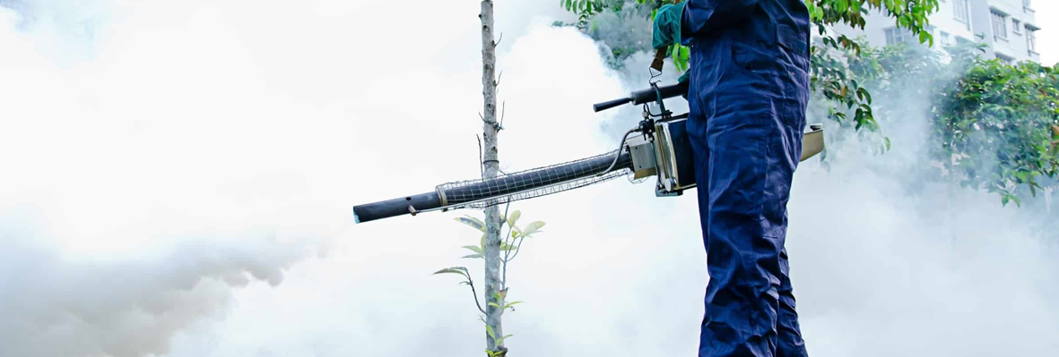 Fumigation Services in Lahore