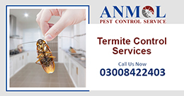 Gallery Tahir Termite Service Service