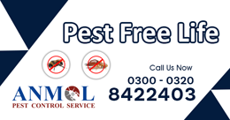 Gallery Tahir Termite Service Service